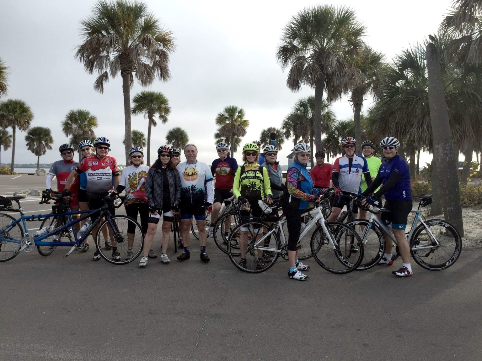 suncoast cycling club